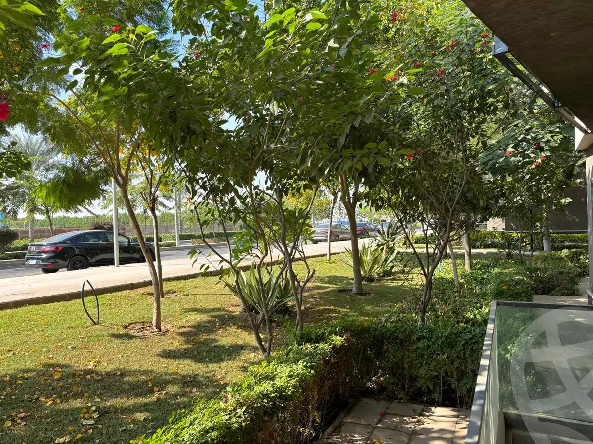 https://aqarmap.com.eg/en/listing/5412809-for-rent-cairo-new-cairo-madinaty-fifteenth-zone-buildings