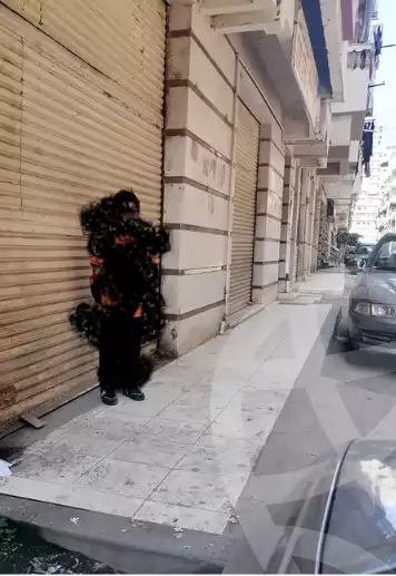 https://aqarmap.com.eg/en/listing/5419067-for-rent-dakahlia-mansoura-jdyl-mohammed-el-elawy-st-st