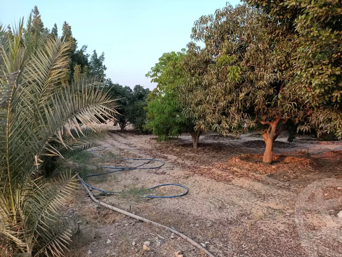 https://aqarmap.com.eg/en/listing/6080214-for-sale-cairo-al-oubour-jm-y-rby-kht-2-shml