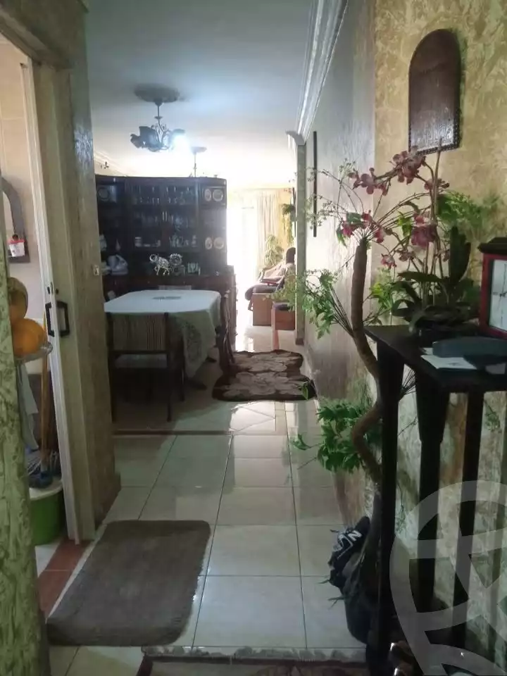 https://aqarmap.com.eg/en/listing/5430361-for-sale-alexandria-moharram-bey-el-rasafa-st