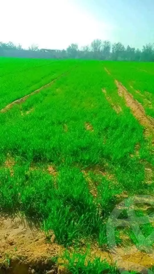 https://aqarmap.com.eg/en/listing/5432146-for-sale-el-fayoum-fayoum
