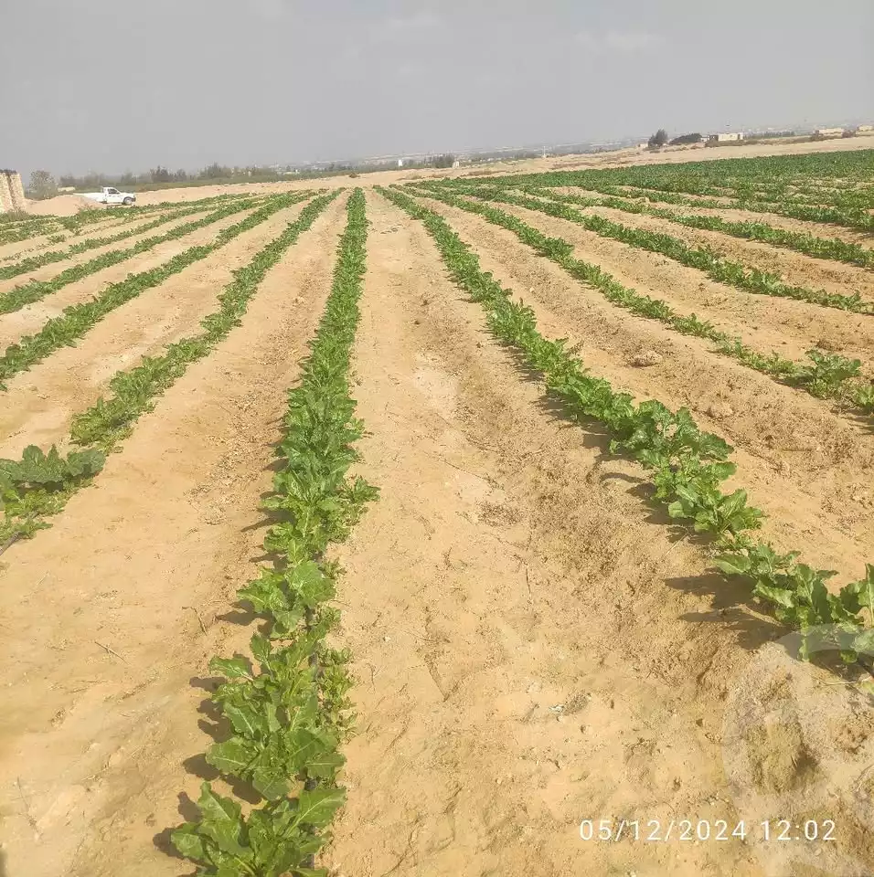https://aqarmap.com.eg/en/listing/5433549-for-sale-beheira-wadi-el-natrun