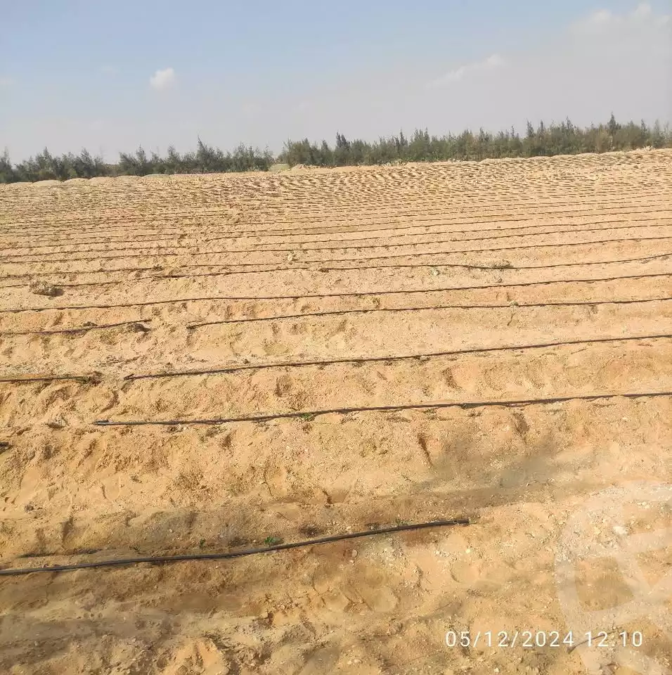 https://aqarmap.com.eg/en/listing/5433549-for-sale-beheira-wadi-el-natrun