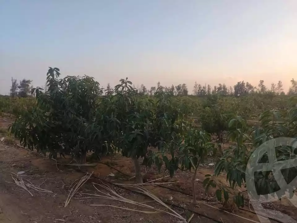 https://aqarmap.com.eg/ar/listing/5433558-for-sale-beheira-wadi-el-natrun
