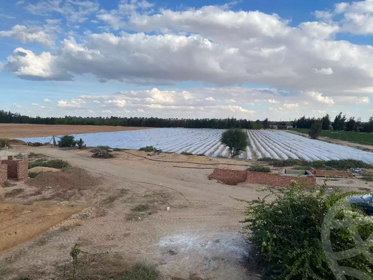 https://aqarmap.com.eg/en/listing/5442189-for-sale-ismailia-ismailia-city-al-asher-men-ramadan-st
