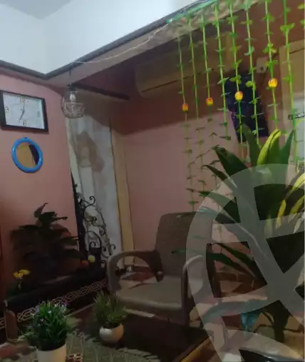 https://aqarmap.com.eg/en/listing/5446518-for-sale-alexandria-l-jmy-lbytsh-bianchiii