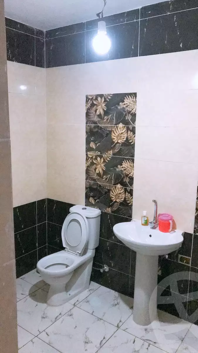 https://aqarmap.com.eg/en/listing/5447551-for-rent-cairo-nasr-city-zahraa-nasr-city-al-shanab-st