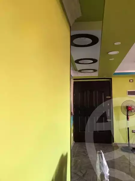https://aqarmap.com.eg/en/listing/5448969-for-sale-alexandria-l-jmy-lbytsh-mohamed-el-fardi-st