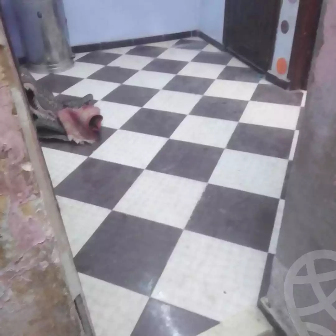 https://aqarmap.com.eg/en/listing/5451226-for-sale-cairo-mansheyet-nasser