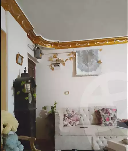 https://aqarmap.com.eg/ar/listing/5453461-for-sale-alexandria-el-hanouvel-el-salam-st