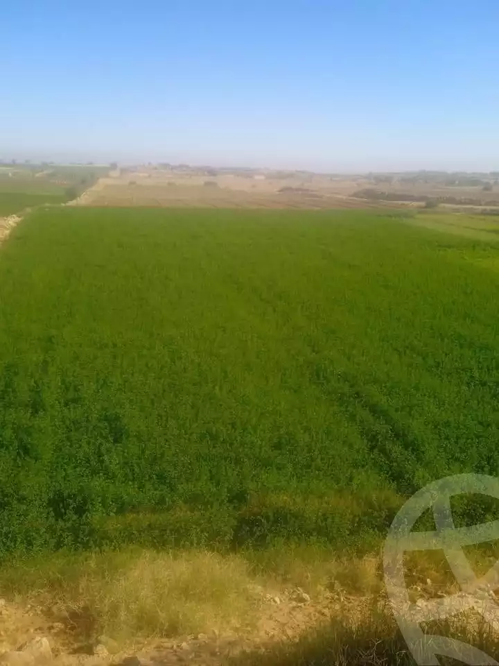 https://aqarmap.com.eg/en/listing/5460822-for-sale-asyut-manfalut-el-atamna