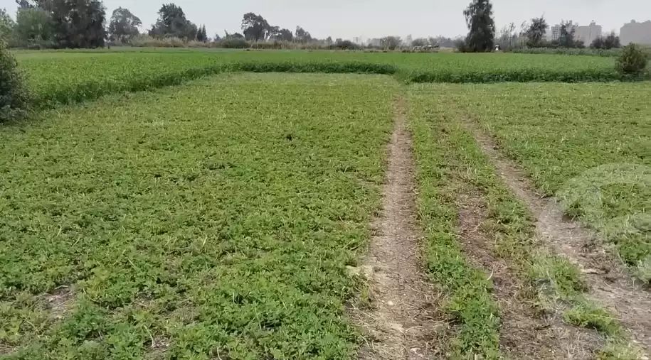 https://aqarmap.com.eg/ar/listing/5461946-for-sale-dakahlia-mansoura-el-mansoura-city