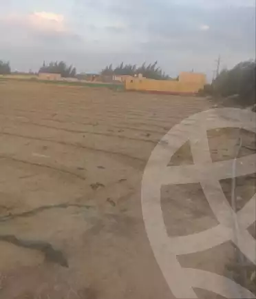 https://aqarmap.com.eg/en/listing/5470953-for-sale-beheira-wadi-el-natrun