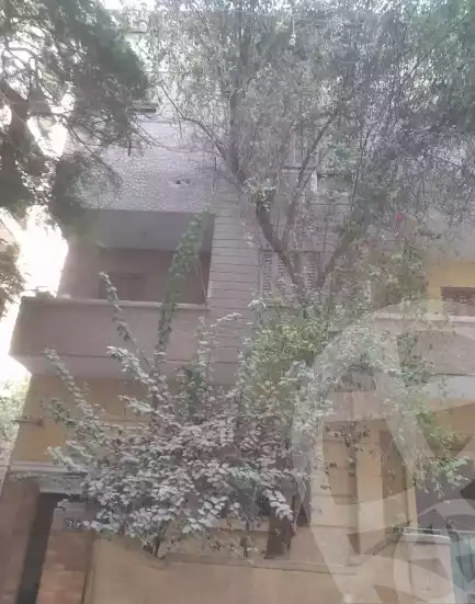 https://aqarmap.com.eg/en/listing/5477431-for-sale-cairo-el-zaytun-hlmy-lzytwn-qassem-basha-st