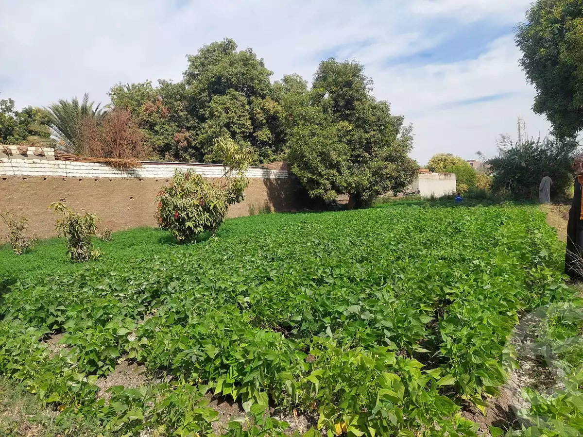 https://aqarmap.com.eg/ar/listing/5477500-for-sale-luxor-el-bayadiyah-el-bayadiyah-city