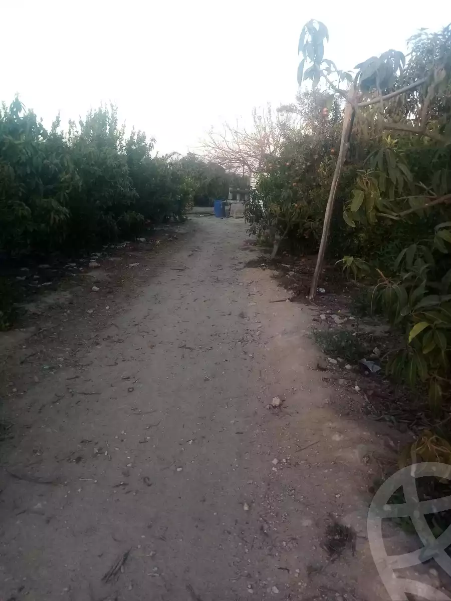 https://aqarmap.com.eg/en/listing/5477747-for-sale-alexandria-cairo-alexandria-desert-road