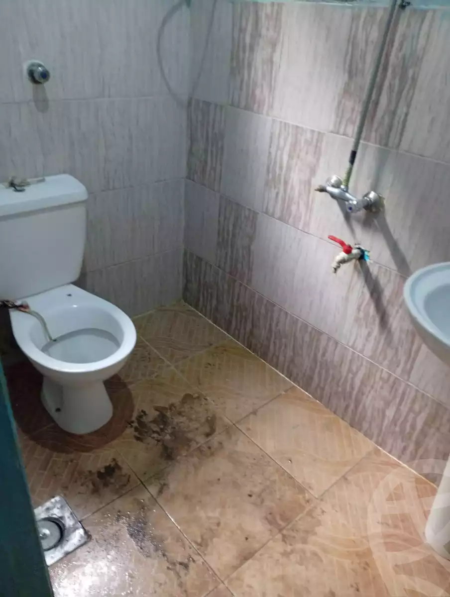 https://aqarmap.com.eg/en/listing/5918786-for-sale-alexandria-el-wardiyan