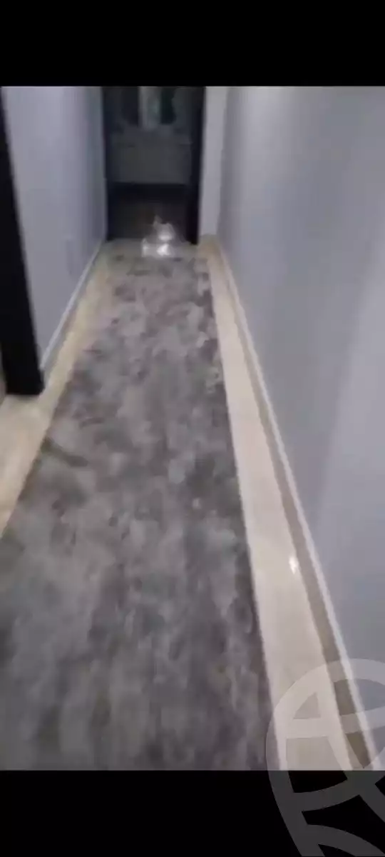 https://aqarmap.com.eg/en/listing/5543108-for-rent-cairo-faisal-el-maryotyah