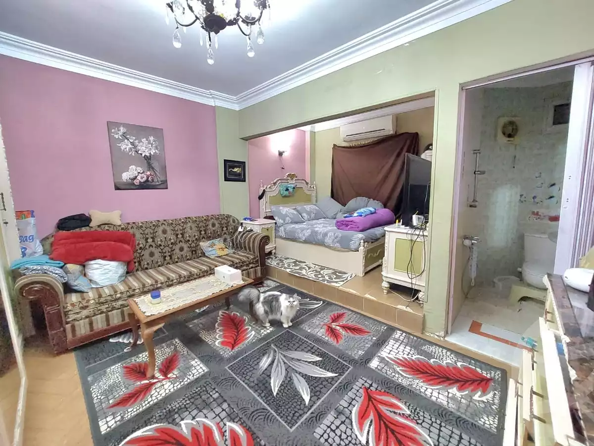 https://aqarmap.com.eg/ar/listing/5549629-for-sale-cairo-mokattam-lhdb-l-ly-shareaa-9