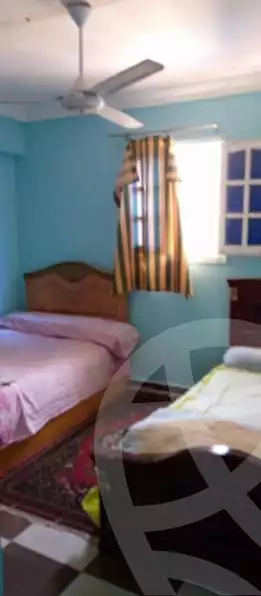 https://aqarmap.com.eg/en/listing/5556428-for-rent-alexandria-miami-hasan-zagmor-st