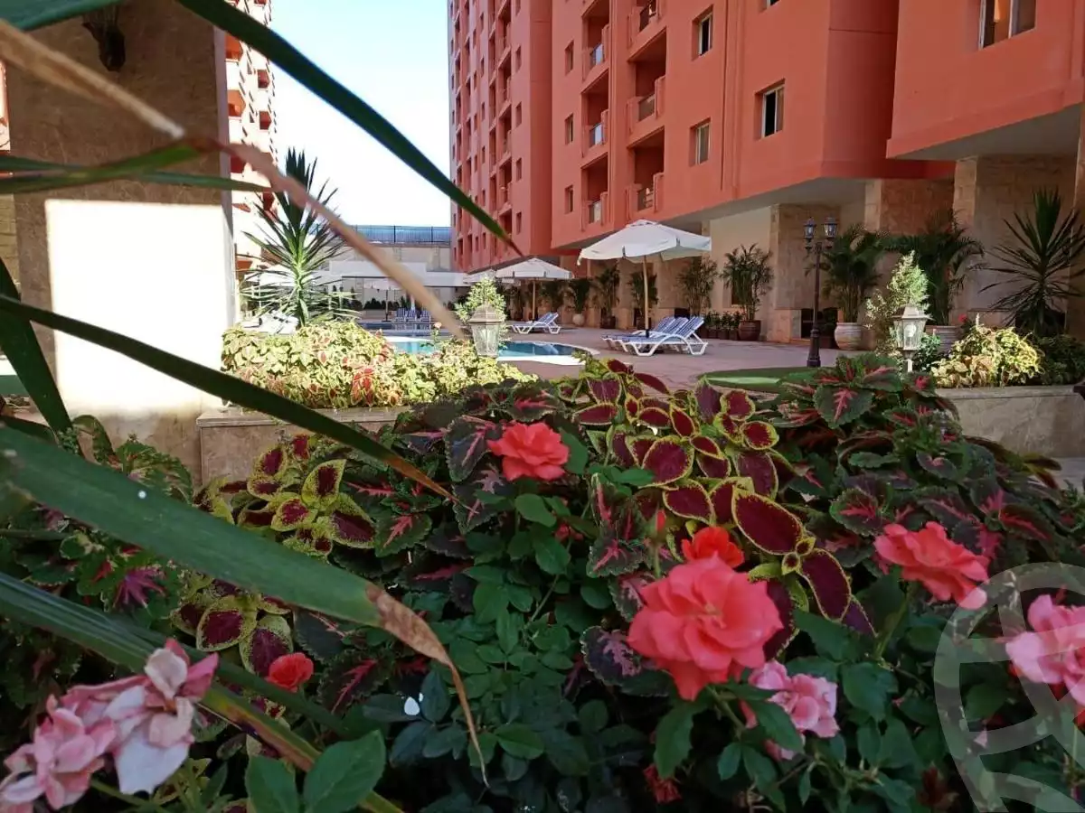 https://aqarmap.com.eg/en/listing/5559164-for-sale-cairo-nasr-city-makram-ebeid