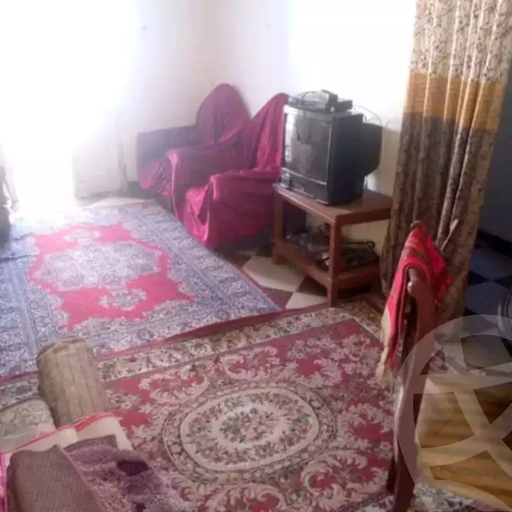 https://aqarmap.com.eg/ar/listing/5581691-for-rent-alexandria-miami-iskandar-ibrahim-st