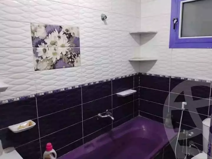 https://aqarmap.com.eg/ar/listing/5585038-for-rent-alexandria-l-jmy-lbytsh-el-hanafeya-st