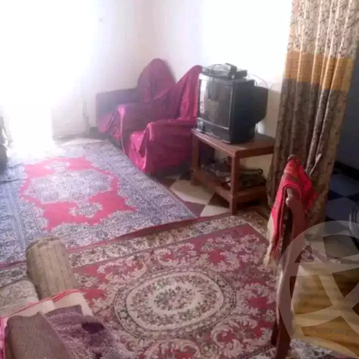 https://aqarmap.com.eg/en/listing/5586399-for-rent-alexandria-miami-hasan-zagmor-st