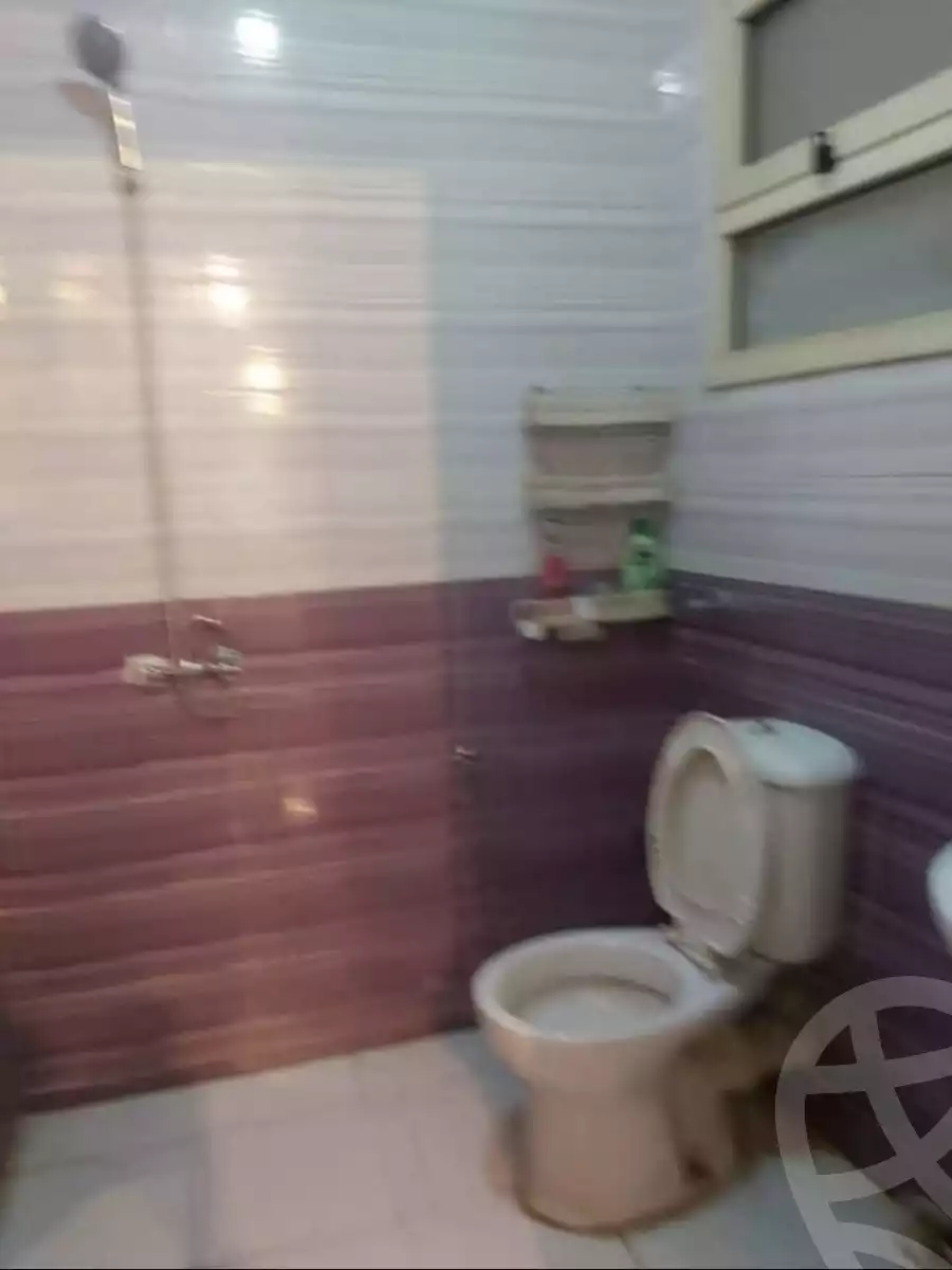 https://aqarmap.com.eg/en/listing/5594868-for-rent-alexandria-el-hanouvel-al-asdakaa-st