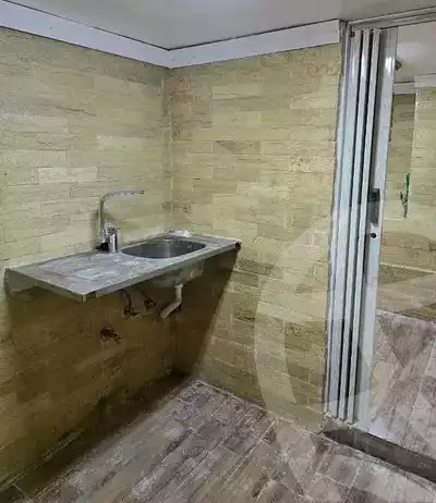 https://aqarmap.com.eg/en/listing/5595523-for-rent-cairo-heliopolis