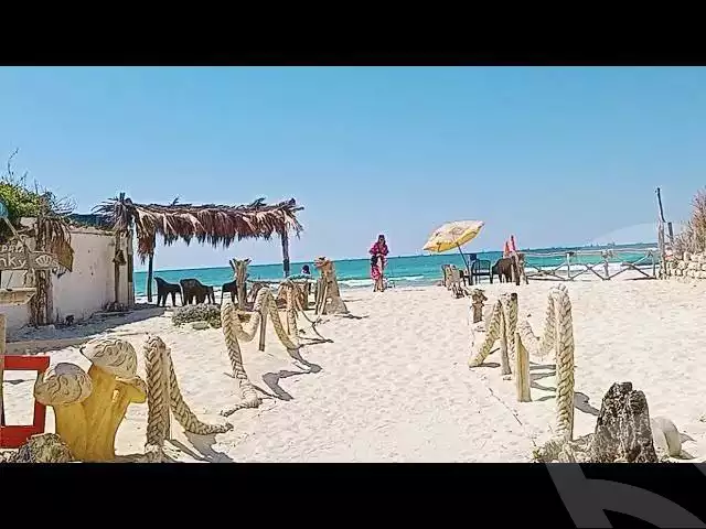 https://aqarmap.com.eg/en/listing/5602051-for-sale-alexandria-l-jmy-shataa-el-nakheel-shatea-al-salam-st