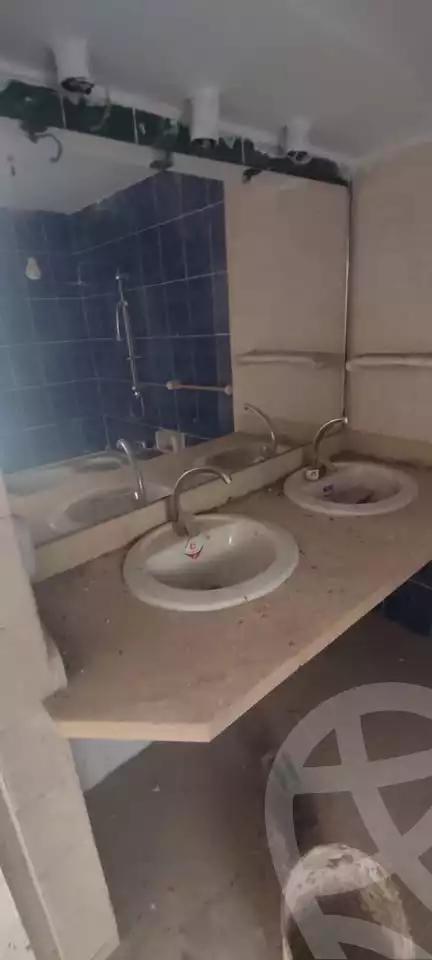 https://aqarmap.com.eg/en/listing/5915678-for-sale-alexandria-l-jmy-lbytsh-sabrin-st