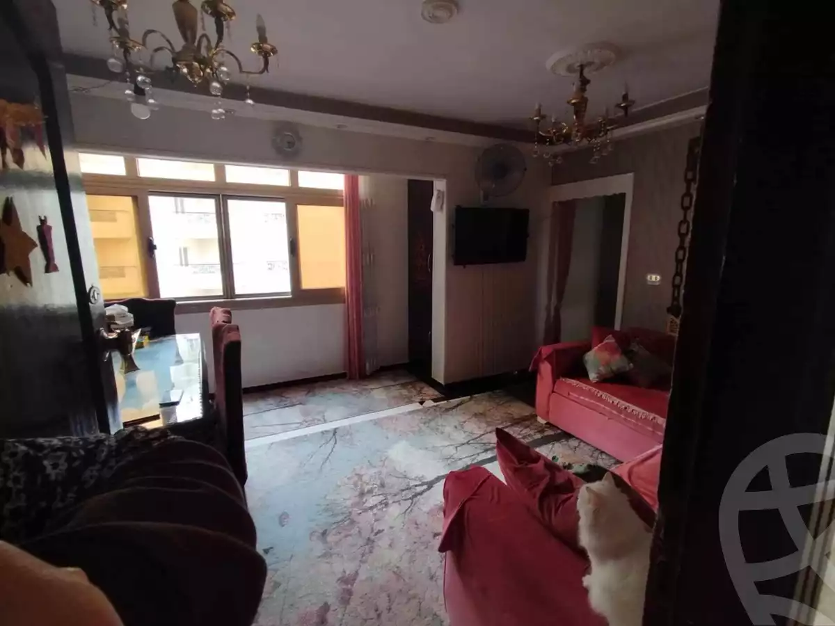 https://aqarmap.com.eg/en/listing/5612684-for-sale-alexandria-sidi-gaber