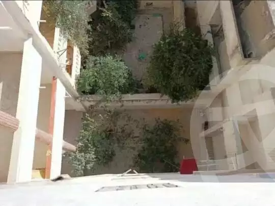 https://aqarmap.com.eg/en/listing/5612875-for-sale-alexandria-l-jmy-bw-ywsf