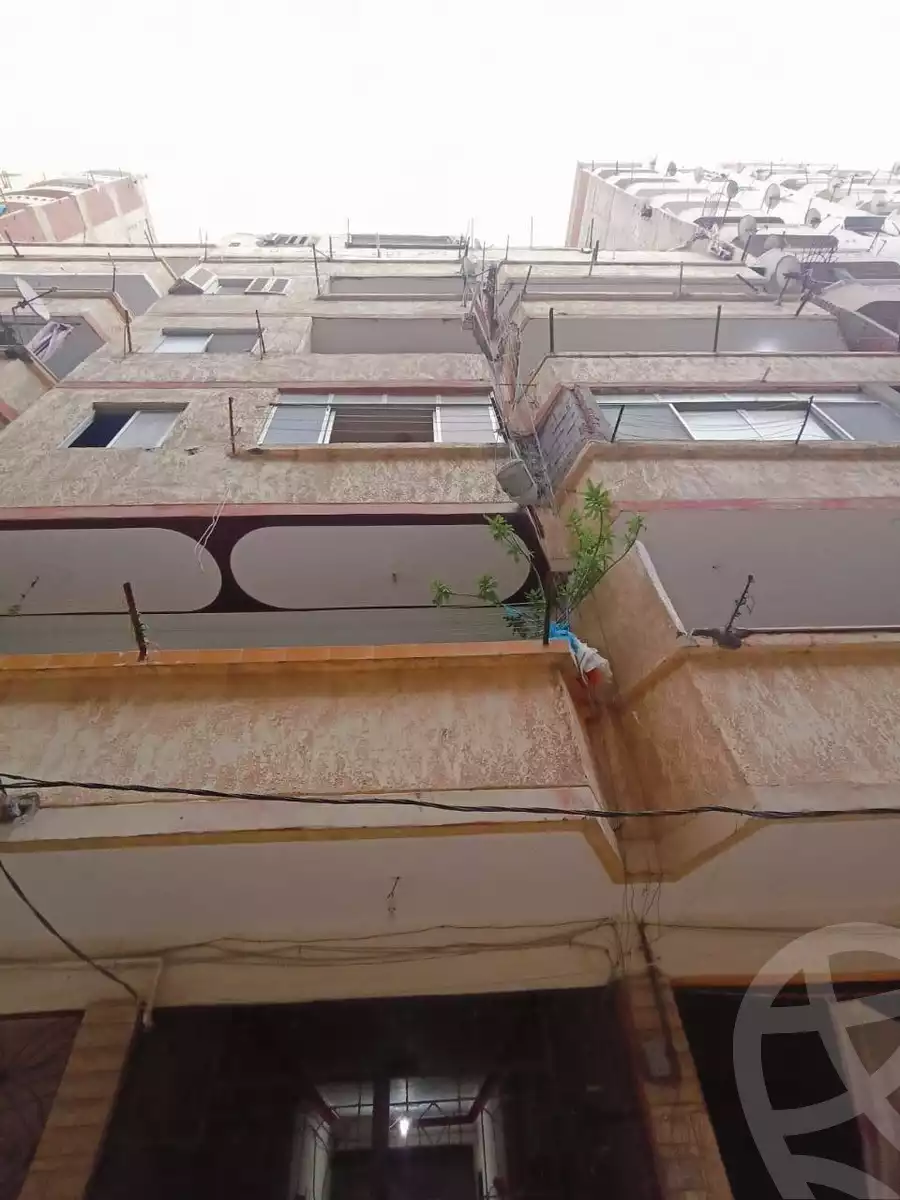 https://aqarmap.com.eg/en/listing/5623334-for-sale-alexandria-el-hanouvel-trablose-st