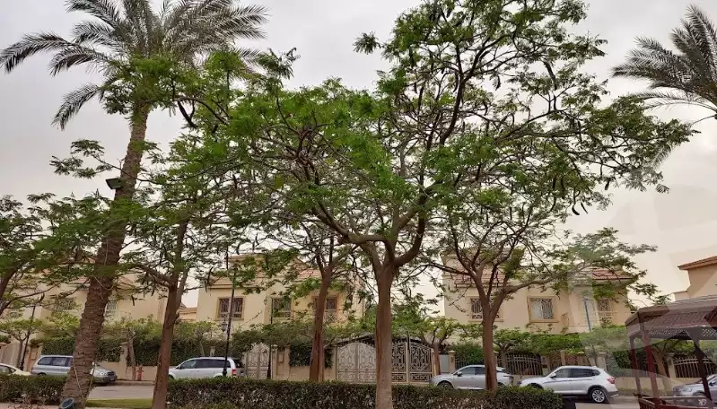 https://aqarmap.com.eg/en/listing/5623620-for-rent-cairo-el-sheikh-zayed-city-compounds-greens