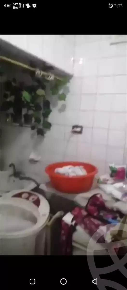 https://aqarmap.com.eg/en/listing/5624779-for-rent-alexandria-el-wardiyan