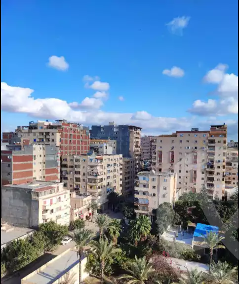 https://aqarmap.com.eg/en/listing/5624891-for-sale-alexandria-l-jmy-bw-ywsf