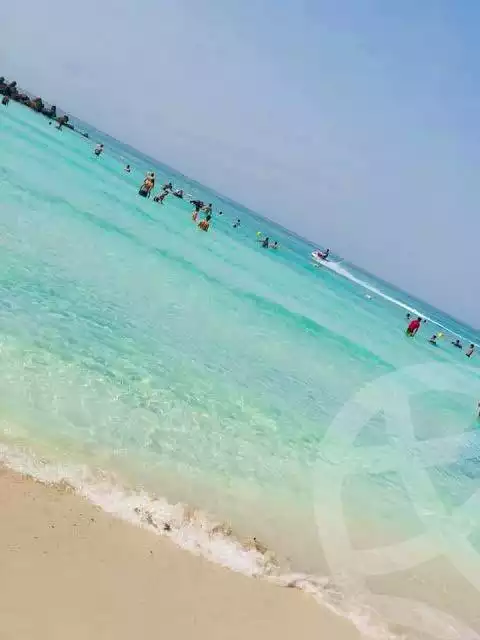 https://aqarmap.com.eg/ar/listing/5625853-for-sale-alexandria-l-jmy-shataa-el-nakheel-shatea-al-salam-st