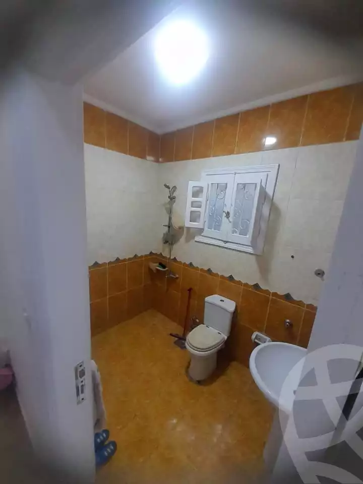 https://aqarmap.com.eg/en/listing/5630127-for-sale-alexandria-l-jmy-lbytsh-al-samalehy-2-st