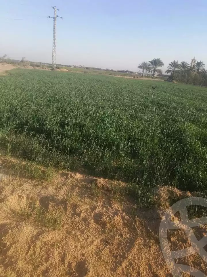 https://aqarmap.com.eg/en/listing/5634189-for-sale-alexandria-cairo-alexandria-desert-road