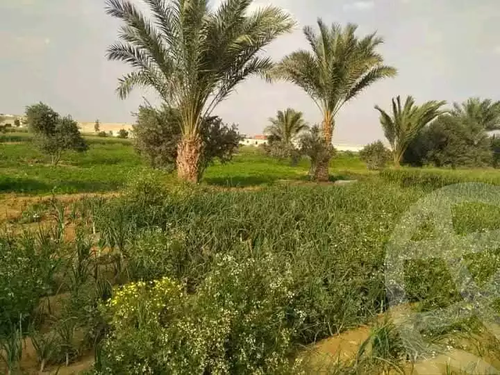 https://aqarmap.com.eg/en/listing/5635920-for-sale-ismailia-ismailia-city