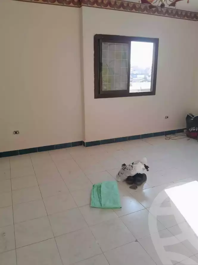 https://aqarmap.com.eg/en/listing/5643516-for-rent-cairo-el-zaytun-lzytwn-lshrqy