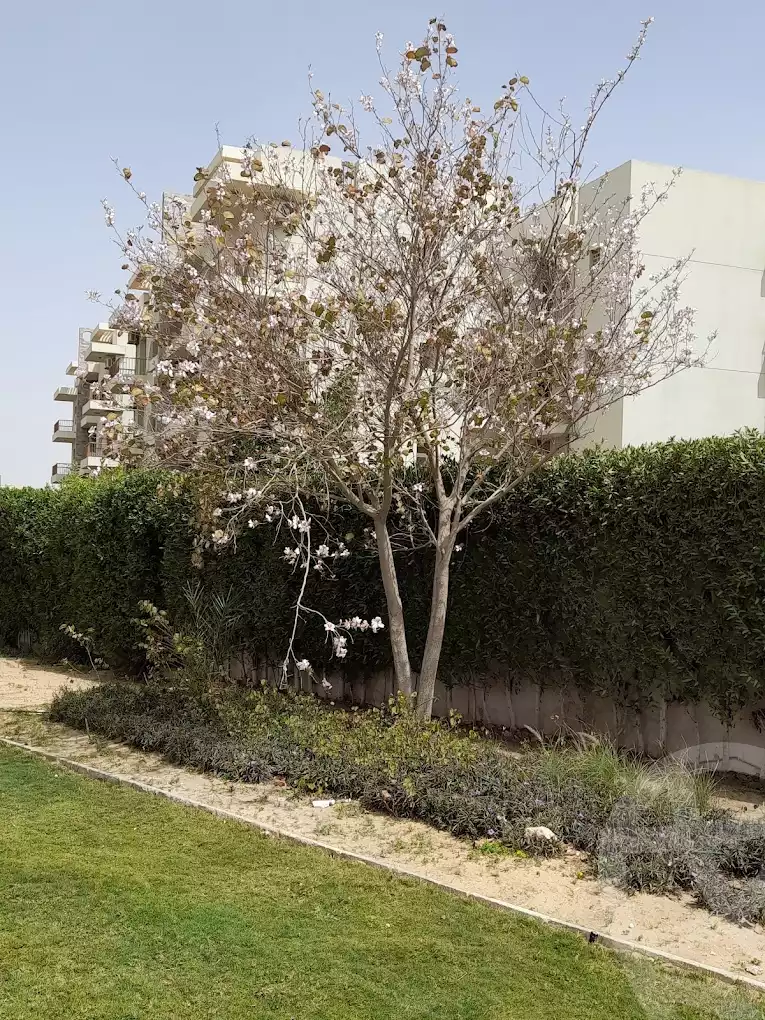 https://aqarmap.com.eg/en/listing/5645198-for-rent-cairo-el-sheikh-zayed-city-compounds-dh-drys