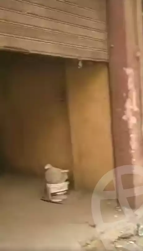 https://aqarmap.com.eg/en/listing/5645293-for-sale-cairo-ain-shams-ain-shams-el-sharkia-el-eshrein-stt