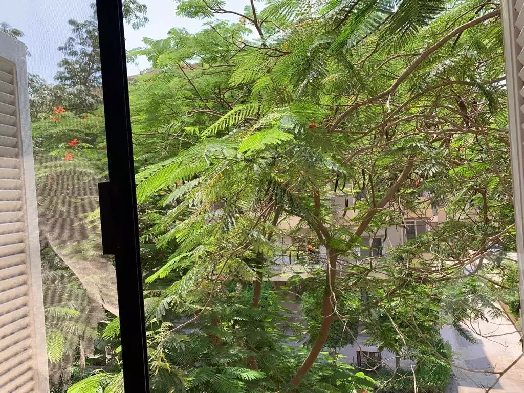 https://aqarmap.com.eg/en/listing/5650243-for-sale-cairo-el-maadi-zahraa-el-maadi-second-neighborhood-togary-st
