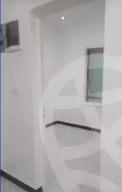 https://aqarmap.com.eg/en/listing/5652373-for-rent-cairo-manial