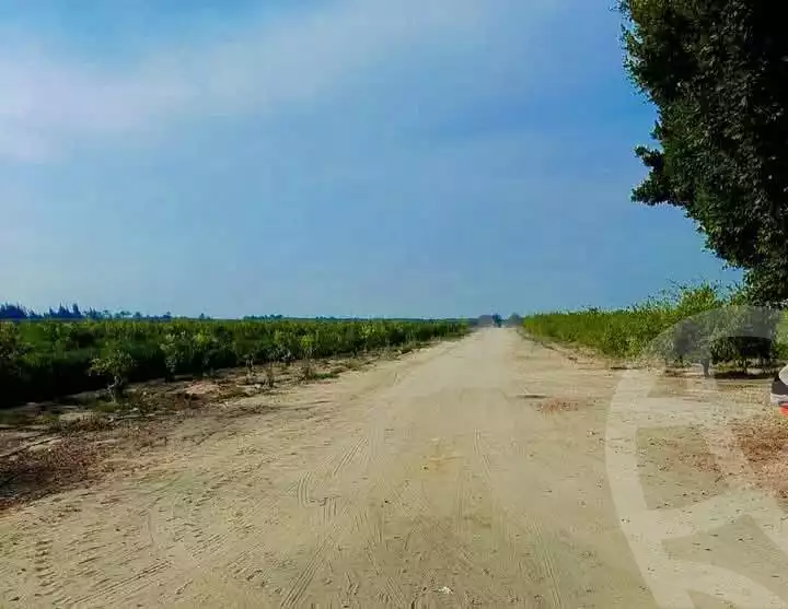 https://aqarmap.com.eg/en/listing/5654299-for-sale-alexandria-cairo-alexandria-desert-road