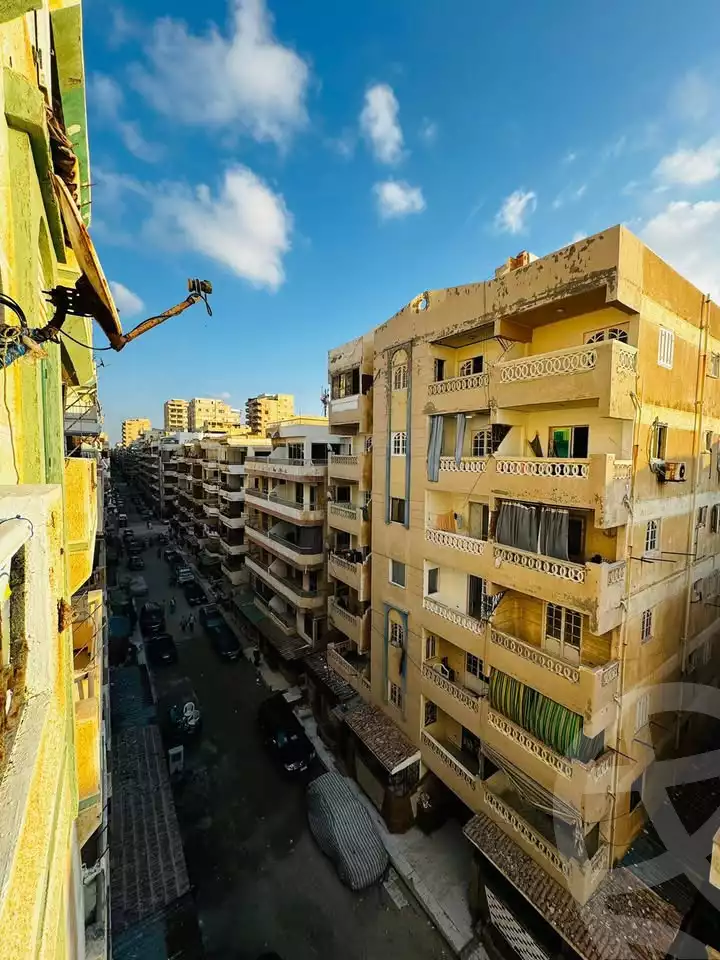 https://aqarmap.com.eg/en/listing/5654907-for-sale-alexandria-l-jmy-shataa-el-nakheel
