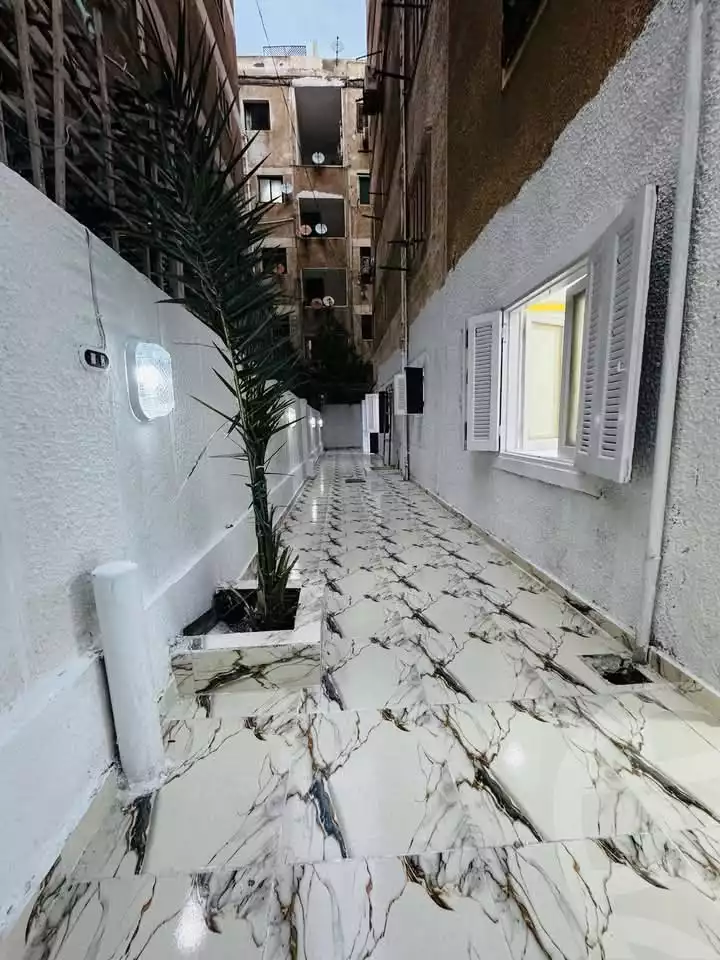 https://aqarmap.com.eg/ar/listing/5660039-for-sale-alexandria-l-jmy-shataa-el-nakheel-octuber-al-nakhel-st